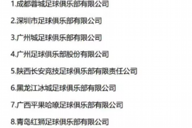 金华金华的要账公司在催收过程中的策略和技巧有哪些？